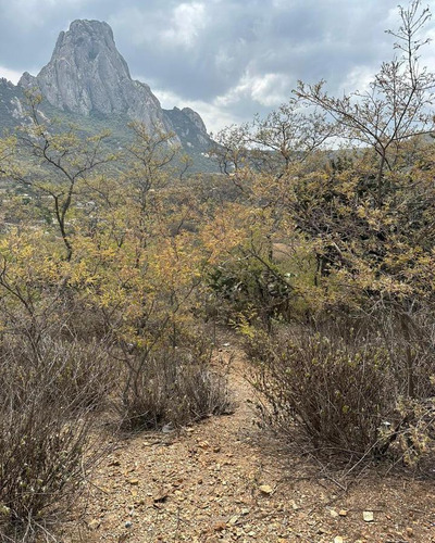 Excelente Terreno Con Vista A Bernal