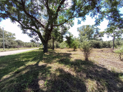 Se Vende Lote En Cordoba