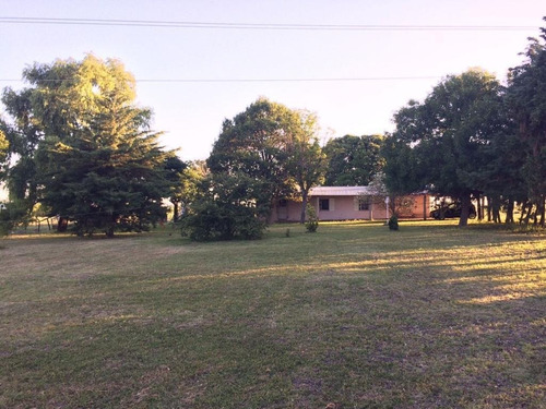 Imagen 3 de 17 de Campo De 10 Hectareas A 1500 Mts De Ruta 39 Con Chalet 4 Amb U$s180.000