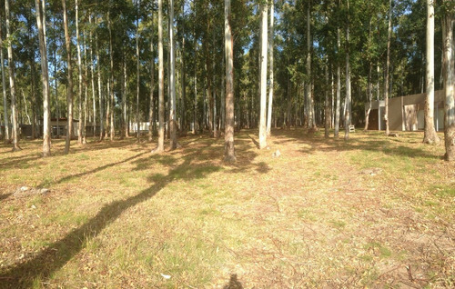 Imagen 5 de 9 de Terrenos - Lotes La Aldea Club De Campo , Colon Entre Ríos