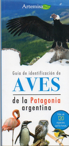 Guia De Identificacion De Aves De La Patagonia Argentina