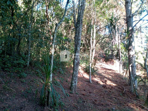 Imagem 2 de 9 de Terreno, Água Espraiada (caucaia Do Alto), Cotia - R$ 1 Mi, Cod: 4205 - V4205