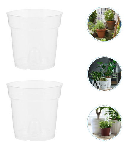 Vaso De Flores Com Raiz De Orquídea Phalaenopsis 5 Unidades