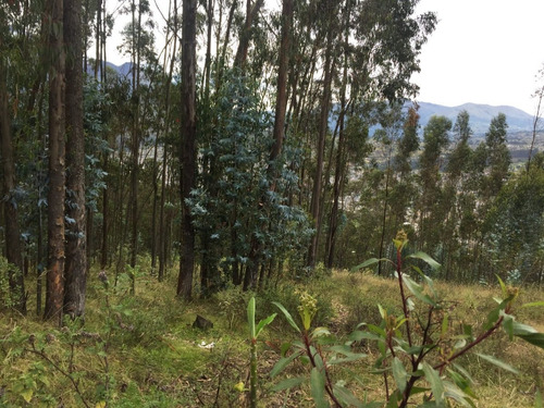 Imagen 7 de 8 de Terreno Con Vista A La Ciudad De Otavalo