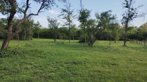 Anisacate - A La Venta - Exclusivo Lote De 2.000 M2 - Con Escritura - Sierras De Córdoba