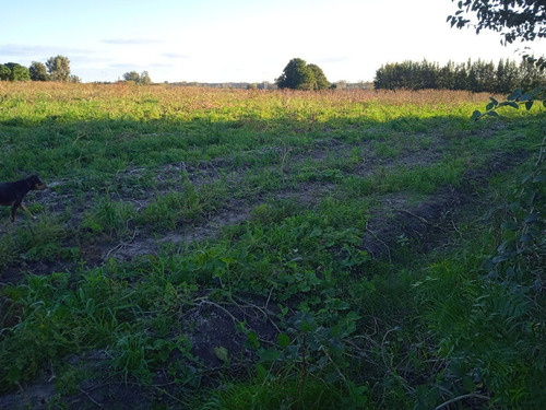 Chacra En Juanicó Con Casa Para 80.000 U$s