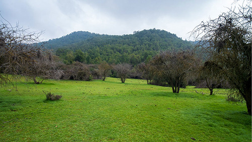 Imagen 8 de 20 de Lomas De Huemul