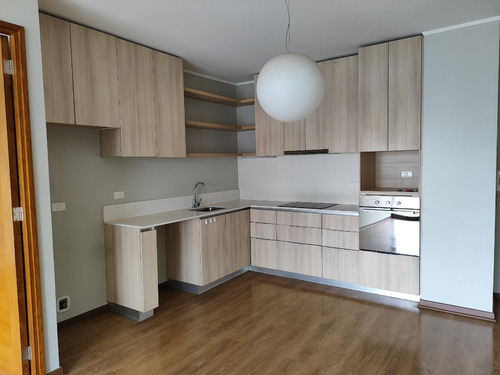 Departamento Providencia 2d/2b