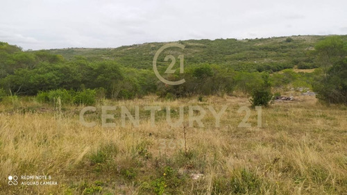 Imagen 16 de 19 de Se Vende Muy Lindo Campo Con Cañada !!