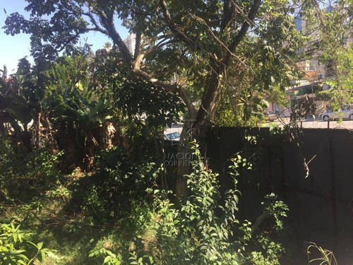 Terreno À Venda, 227 M² Por R$ 700.000,00 - Parque João Ramalho - Santo André/sp - Te1068