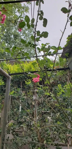 Casa Tipo Chalet En Venta En Belén De Escobar