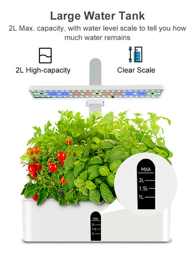 Kit Hydroponics Gg System Para Jardín De Hierbas Para Inter