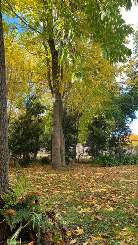 Alquiler Casa Quinta En Chascomus