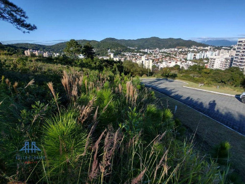 Imagem 12 de 19 de Terreno À Venda, 450 M² Por R$ 787.000,00 - Itacorubi - Florianópolis/sc - Te0280