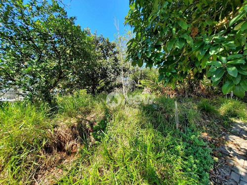 Imagem 5 de 9 de Terreno À Venda, 300 M² Por R$ 170.000,00 - Encosta Do Sol - Estância Velha/rs - Te1128
