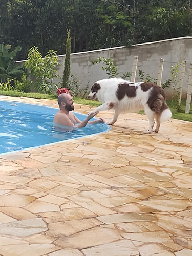 Chácara De Alto Padrão Em Condominio Com Salão De Jogos Cinema 5 Quartos Sendo 3 Suítes Salão Goumet, Academia Piscina Com Outra Área Goumet Com Dois Banheiros E Vestiário Pomar Formado Em Mairinque