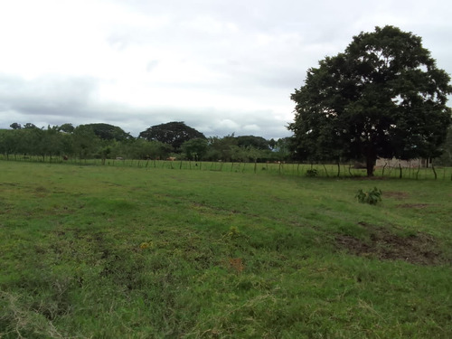 Se Vende Granja En El Estado Carabobo Ve02-1321carab-mtru