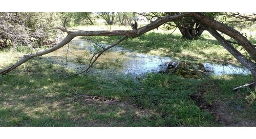 Imagen 9 de 11 de Terreno En La Falda