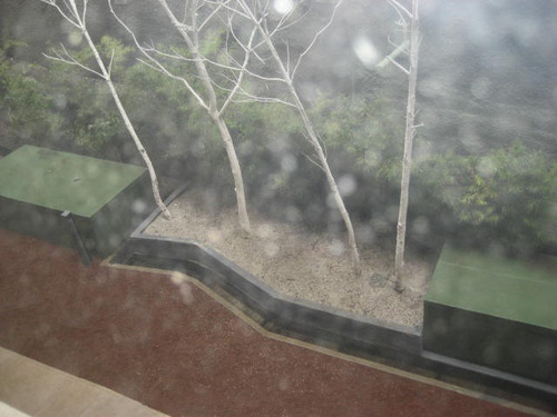Imagen 16 de 25 de Departamento Amueblado En Renta En Santa Fe, Ciudad De México