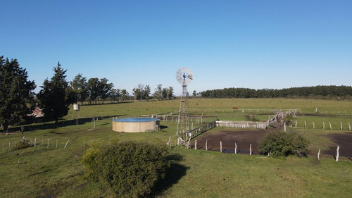 Imagen 2 de 10 de Venta Campo Ganadero 468 Has Norte De Entre Ríos