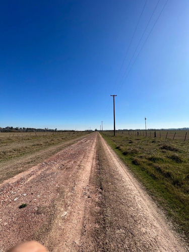 Imagen 6 de 7 de Venta - Fracción Ruta 47 - Luján