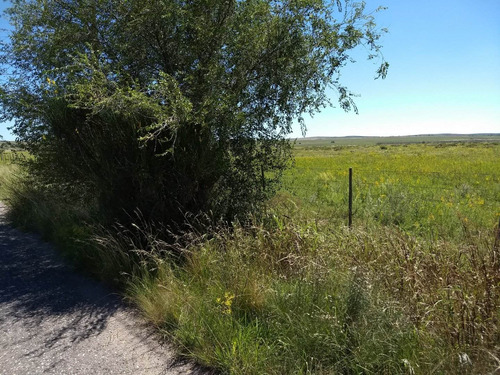 Venta O Alquiler Terrenos Hectareas