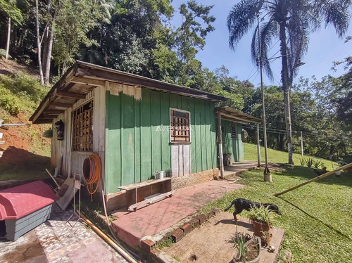 Imagem 12 de 28 de Chácara Santa Maria Das Flores!!!ótima Localização, Próximo Ao Centro Histórico De Morretes - R1508