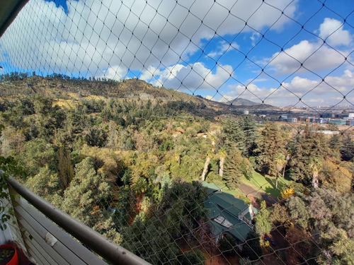 Bosques De La Pirámide Excelente Vista , Seguro 