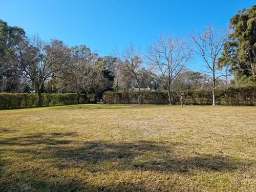 Imagen 6 de 14 de Terreno En Venta 1800m2 Con Excelente Arboleda