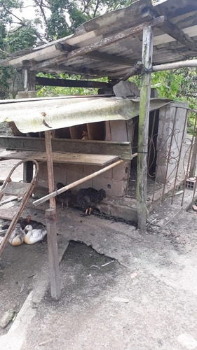 Rural Para Venda, 2 Dormitórios, Parque Da Alvorada - Itanhaém - 12420