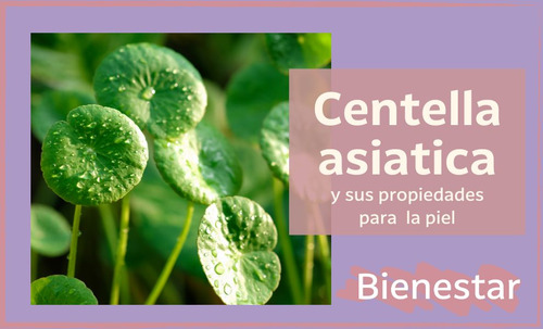 Te De Centella Asiatica Gotu Kola Hierba Pura 100 Gramos