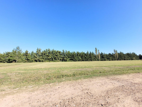 Imagen 2 de 8 de Terreno - Gualeguaychu
