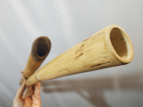 Imagen 2 de 2 de Didgeridoo - Didgeridoo Bitonal - Didgeridoo Cósmico