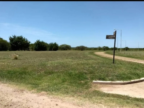 Imagen 3 de 10 de Dueño Directo Vende-terreno En Prados De La Adelina_lote 242