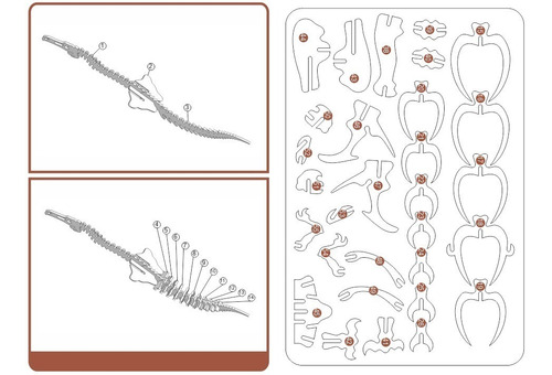 Rompecabezas 3d Tiranosaurio Rex Mdf Corte Láser