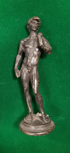 Escultura De Bronce De David 