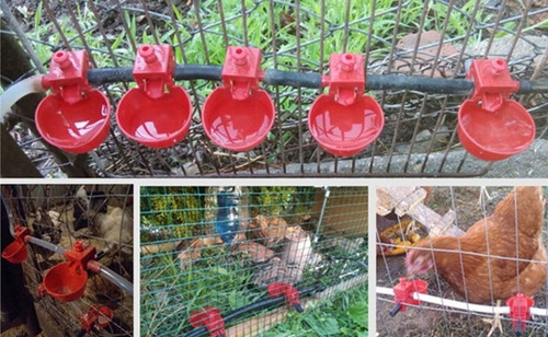Bebedero Para Pollos, Codorniz, Pato, Gallina, Paloma Etc