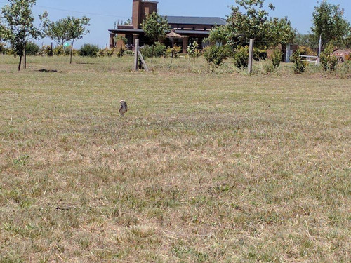 Imagen 8 de 8 de Venta - Lote - Estación Del Carmen
