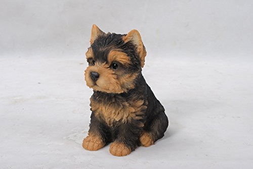 Hiline Regalo Ltd Sentado Yorkshire Terrier Puppy 65