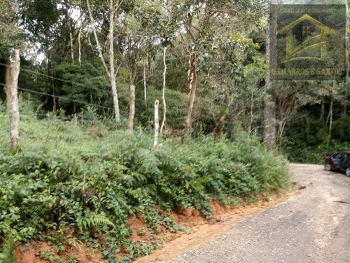 Imagem 8 de 14 de Chácara Com 10.000 M² Em Quatro Barras - Te00020 - 32463315