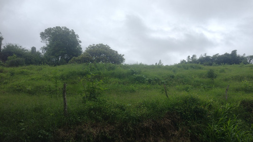 Terreno 4119m² En Coatepec Veracruz (pueblo Mágico)