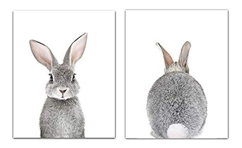Impresiones Para Pared De Bebé Con Diseño De Conejo 8x10