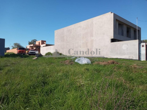 Lote En Venta Barrio San Carlos