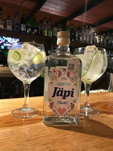 Ginebra Japi Mexicano Hidalgo 45° Artesanal Gin