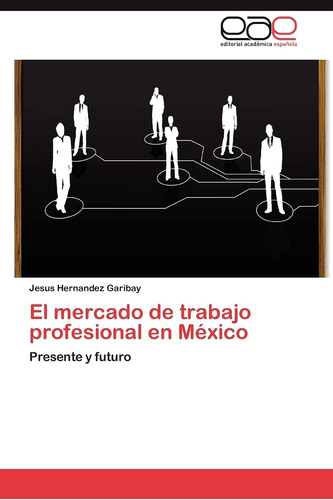 Libro: El Mercado De Trabajo Profesional En México: Presente