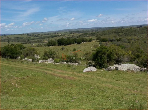 Imagen 10 de 12 de Chacra A La Venta En Maldonado A 49 Km De Punta Del Este, Con Cañadas Y Palmeras