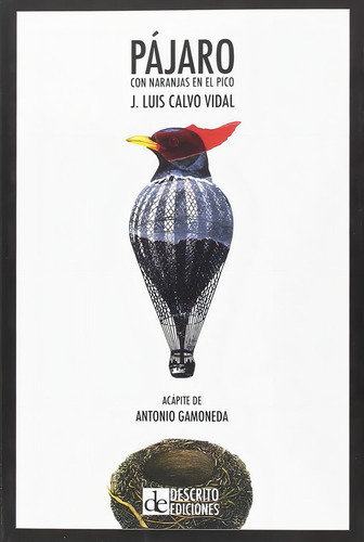 Pãâ¡jaro Con Naranjas En El Pico, De Calvo Vidal, José Luis. Editorial Descrito Ediciones, Tapa Blanda En Español