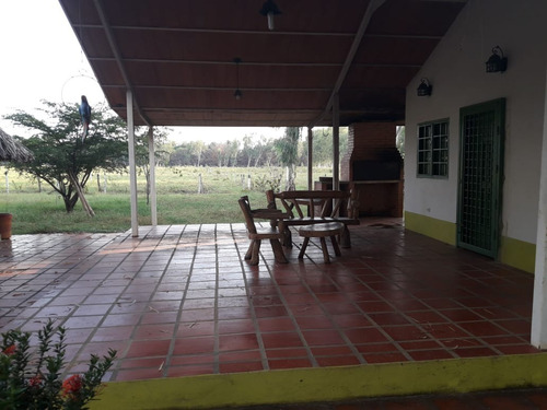 Imagen 2 de 27 de Finca En Venta En La Raya San Timoteo, Zulia