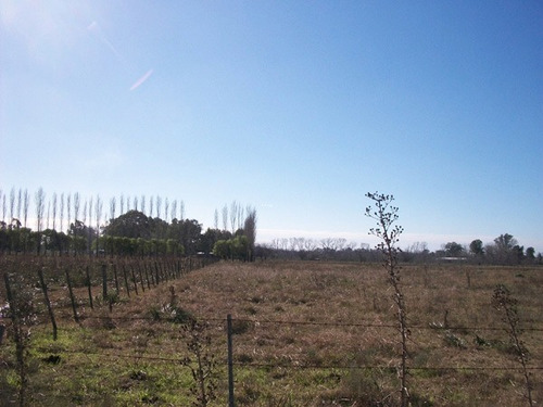 Terreno En Venta En Praderas De Lujan