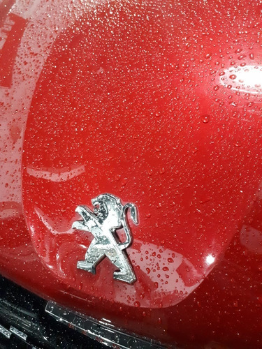 Escaneo Y Diagnostico - Para Peugeot Todos Los Modelos